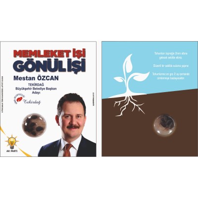 KARIŞIK KIR ÇİÇEĞİ TOHUMLARI